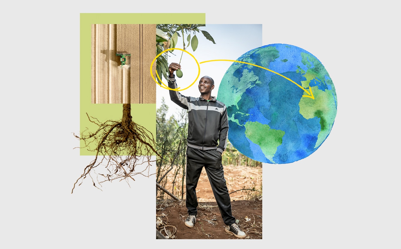 Vue aérienne d’une abatteuse-façonneuse John Deere dans un champ, une personne qui attrape un avocat suspendu à un arbre et une flèche pointant vers l’Afrique sur une illustration de la Terre.