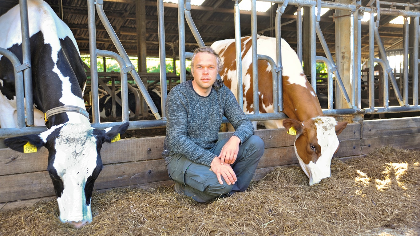A man seated on the ground, surrounded by cows A man seated on the ground, surrounded by cows
