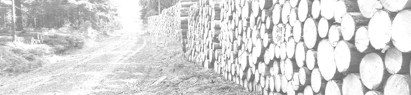 Logs by the roadside