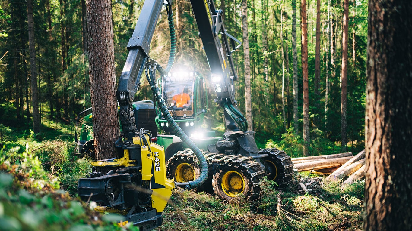 Abatteuses en forêt