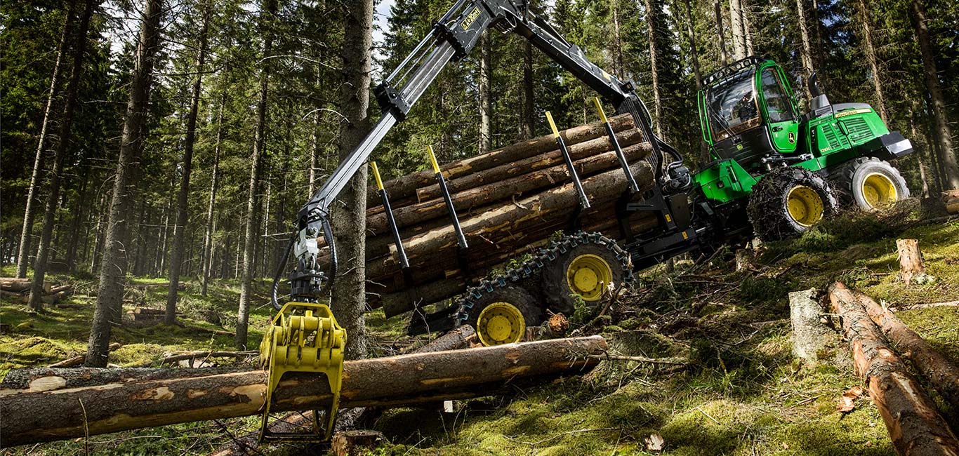 Porteur en forêt